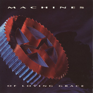 Machines Of Loving Grace