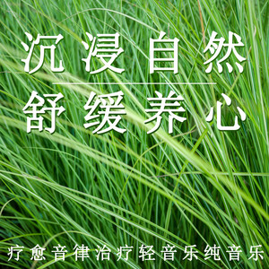 随遇而安封面
