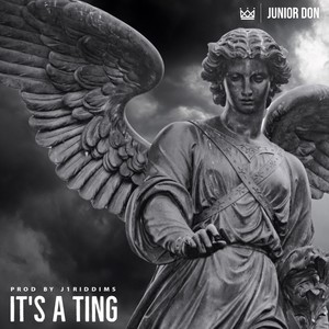 It's A Ting (Explicit)