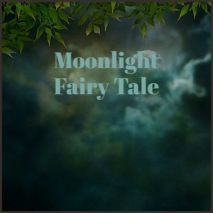 Moonlight Fairy Tale