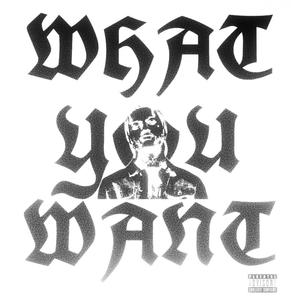 What You Want (Explicit)