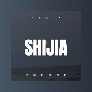 入戏又心动 (DJ版)