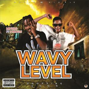 Wavy Level (Explicit)