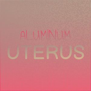 Aluminum Uterus