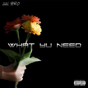 What Yu Need (Explicit)