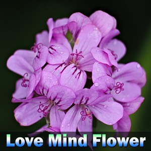 Love Mind Flower