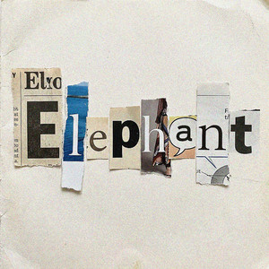 Knee Deep - Elephant