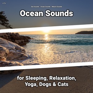 Ocean Sounds for Women