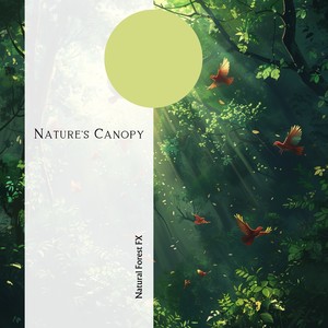 Nature's Canopy: Serene Forest Soundscape