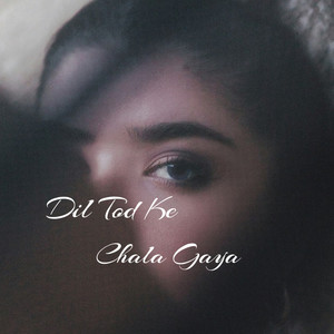 Dil Tod Ke Chala Gaya