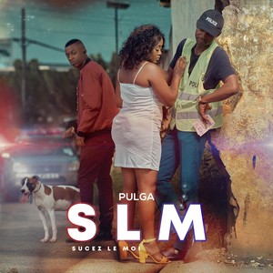 SLM (Sucez-le moi) [Explicit]