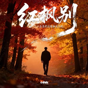 红枫别（一个人在漆黑边缘独自失眠）