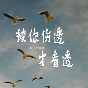被你伤透才看透