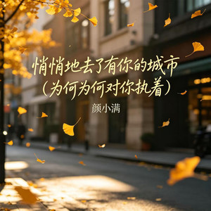 悄悄地去了有你的城市 (为何为何对你执着)