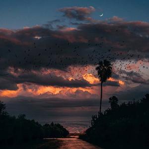 Welcome to Ancient primeval forest （Piano by 夢)