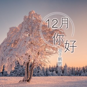 12月你好