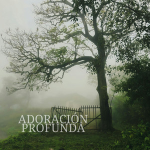 Adoración Profunda