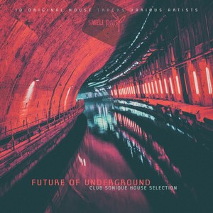 Future and Past (Independent U Mix)
