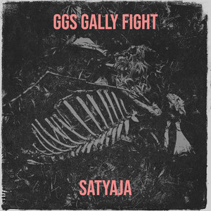 Ggs Gally Fight