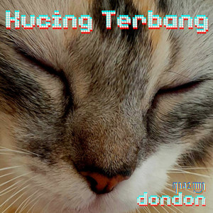 Kucing Terbang