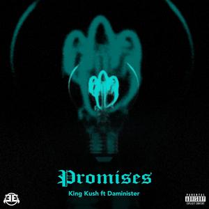 Promises (Radio Edit|Explicit)