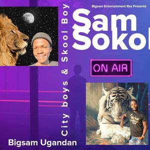 Sam Sokol(feat. City boys, Skool Boy & Bigsam Ugandan)
