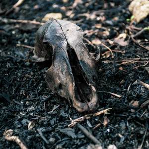 KVS - day three (Explicit)