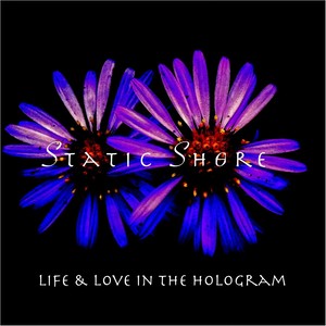 Life & Love in the Hologram