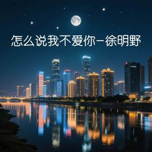 怎么说我不爱你-徐明野