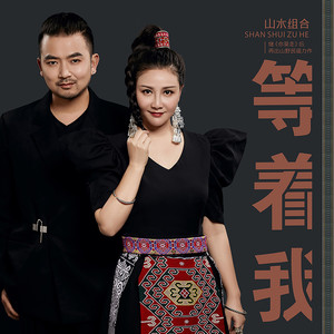 等着我 (DJ沈念版)封面