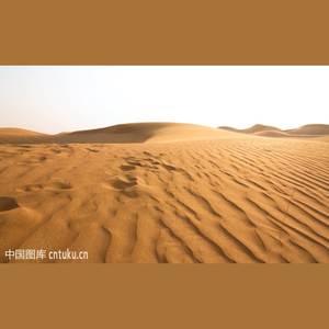 某草原沙漠一日游