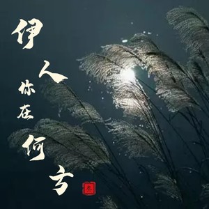 伊人你在何方 (伴奏)