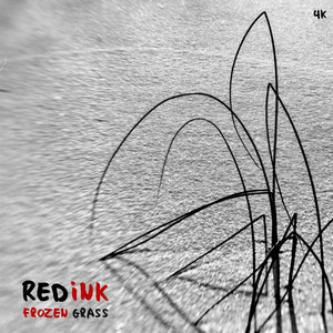 Neverending Daydreams