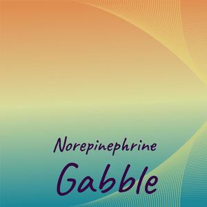 Norepinephrine Gabble