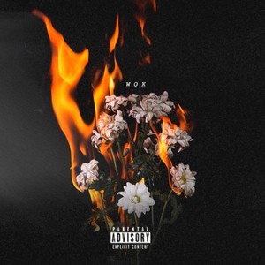 WOK (feat. IshDARR) (Explicit)