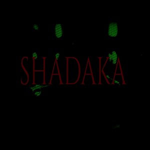 Shadaka (Remix) [Live] [Explicit]