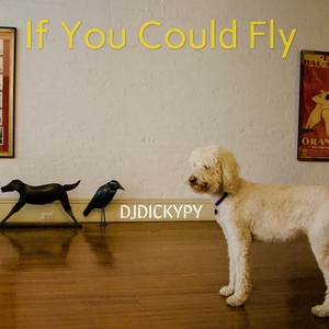 If You Could Fly