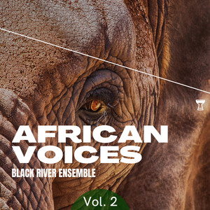 African Voices, Vol. 2