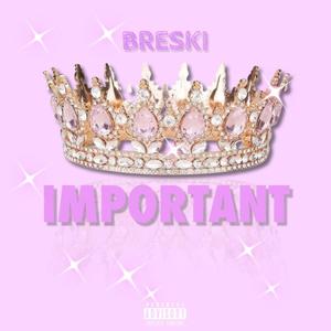 Important (Explicit)