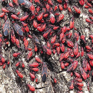 I Dont Like This S**t, Still Colorful Though (Explicit)