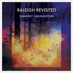 Raleigh Revisited