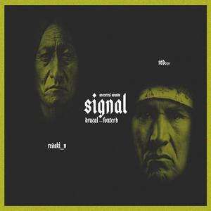 Signals (信号)