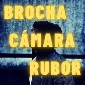 Brocha, cámara, rubor