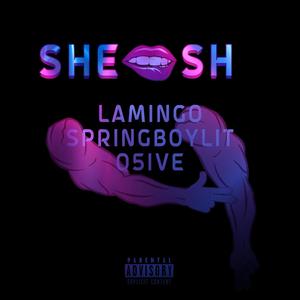 SHEE$$$H (feat. SPRINGBOYLIT & Q5IVE) (Explicit)