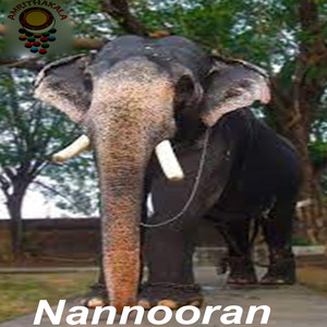 Nannooran - Single