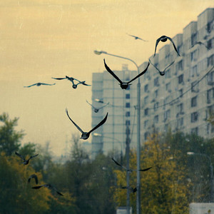 Встретимся утром