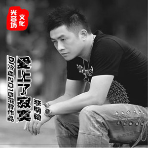 李明翰-爱上了寂寞无损版 (光音坊DJ冷血2015Mix)