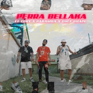 Perra bellaka