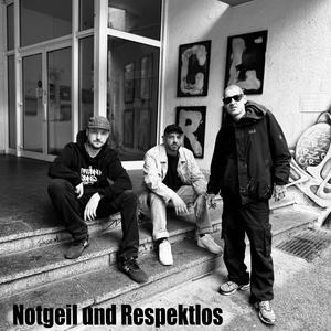 Notgeil und Respektlos (feat. Helmut Hustle & Tonikk) (Explicit)