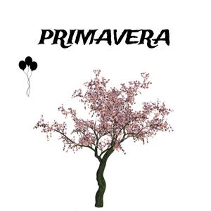 PRIMAVERA